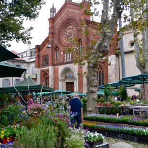 Floralia - edizione autunno