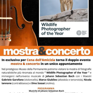 Mostra & Concerto