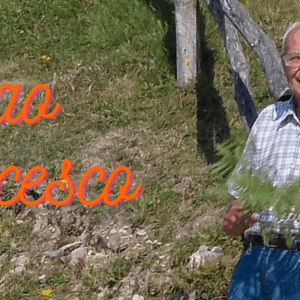 Ciao Francesco, grazie per il tuo impegno a favore degli ultimi